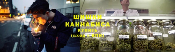 прущие грибы Абдулино