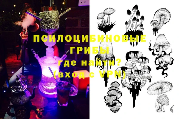 ПСИЛОЦИБИНОВЫЕ ГРИБЫ Абаза