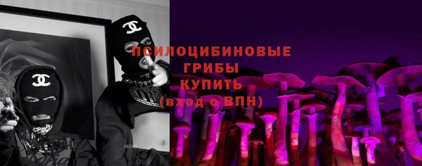 прущие грибы Абдулино