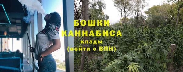прущие грибы Абдулино