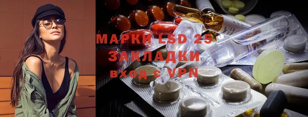 PSILOCYBIN Алзамай