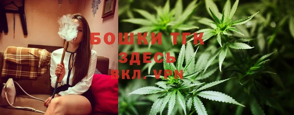 ПСИЛОЦИБИНОВЫЕ ГРИБЫ Абаза