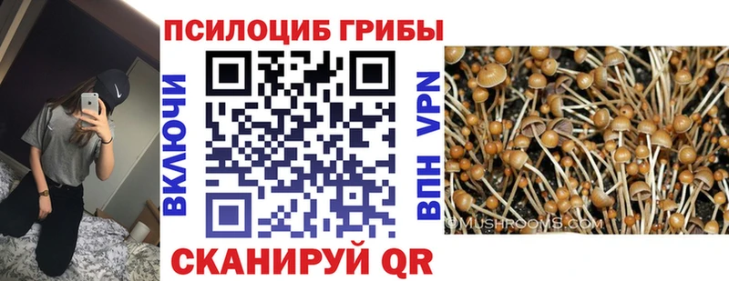 Галлюциногенные грибы ЛСД  Ртищево 